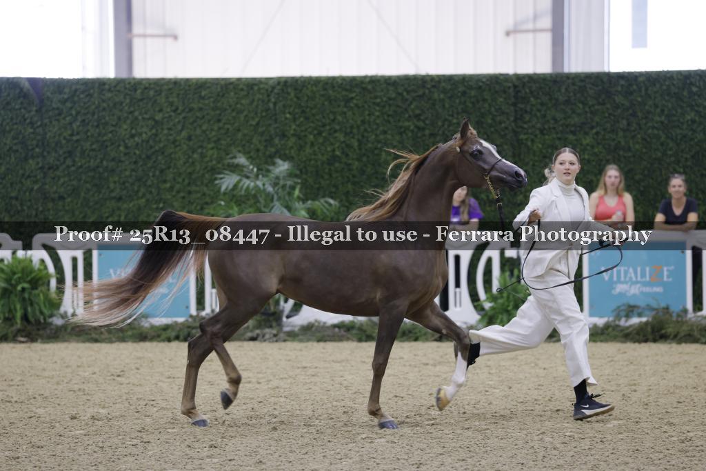Proof 25R13_08447