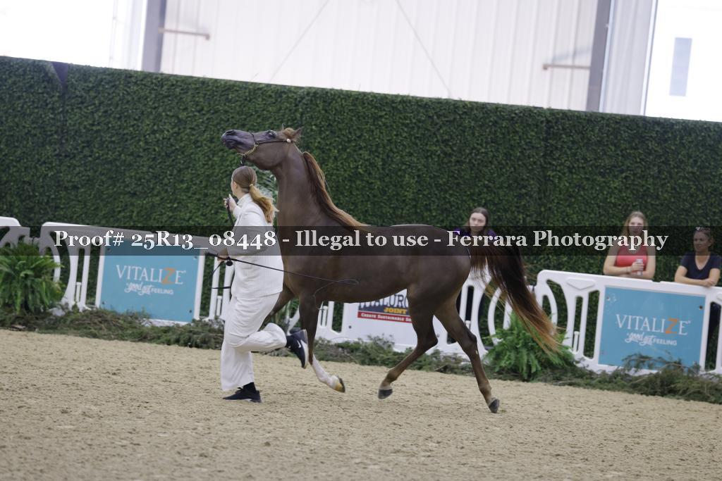 Proof 25R13_08448