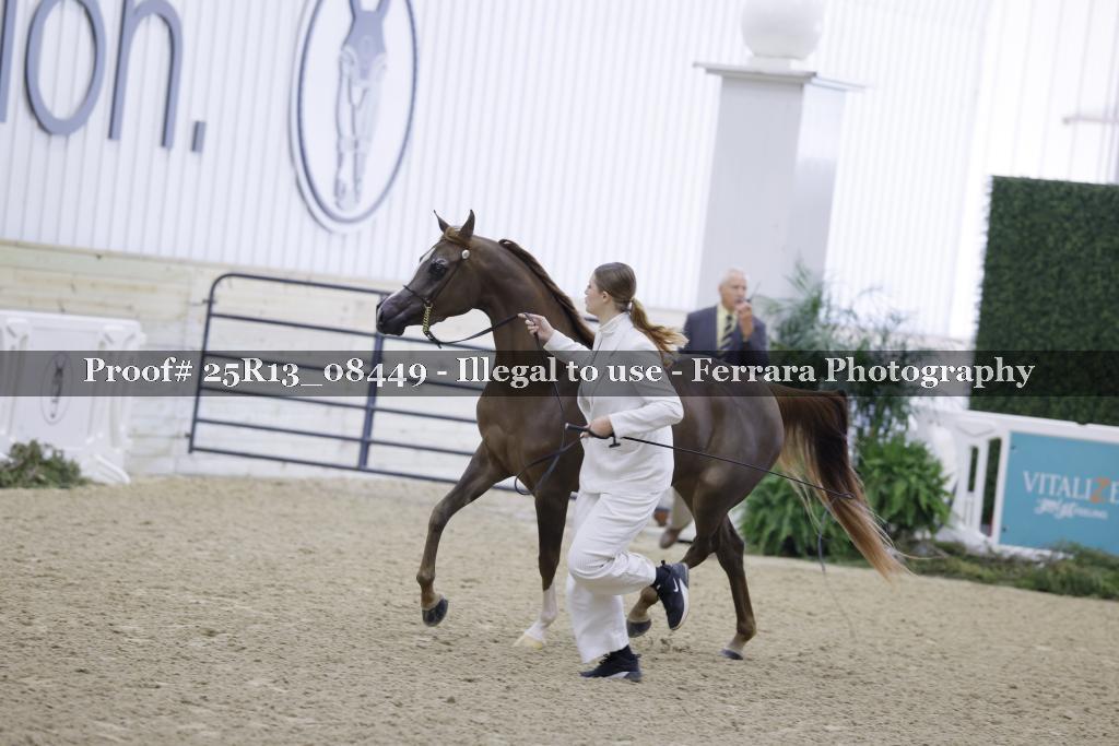 Proof 25R13_08449