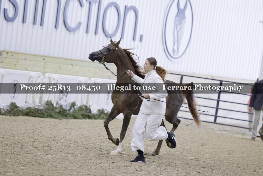 Proof 25R13_08450