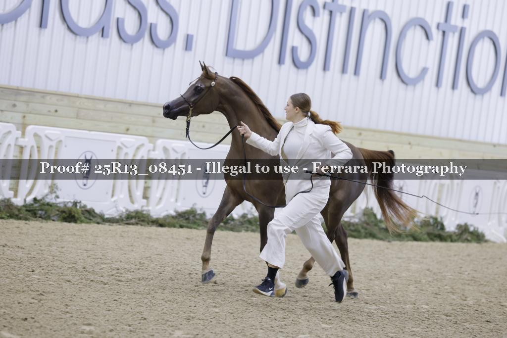 Proof 25R13_08451