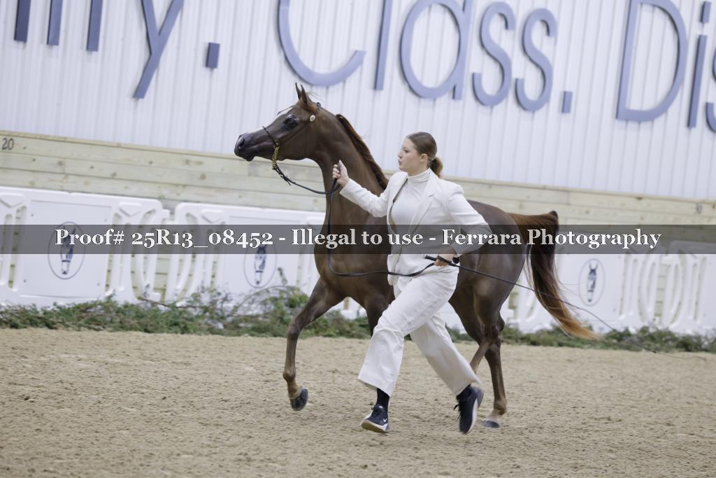 Proof 25R13_08452
