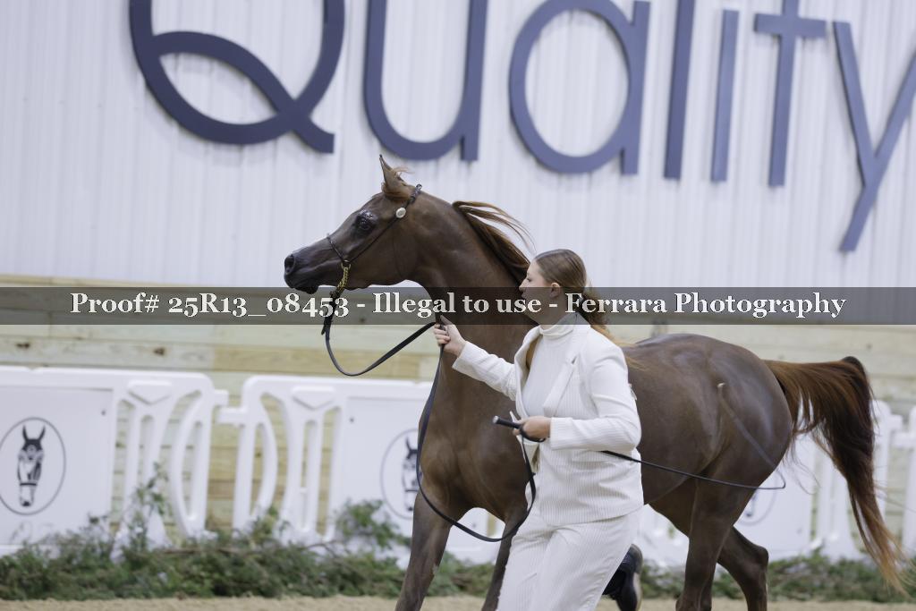 Proof 25R13_08453