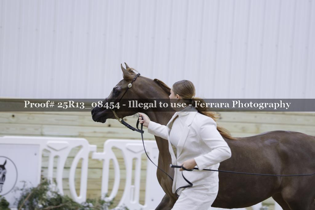 Proof 25R13_08454