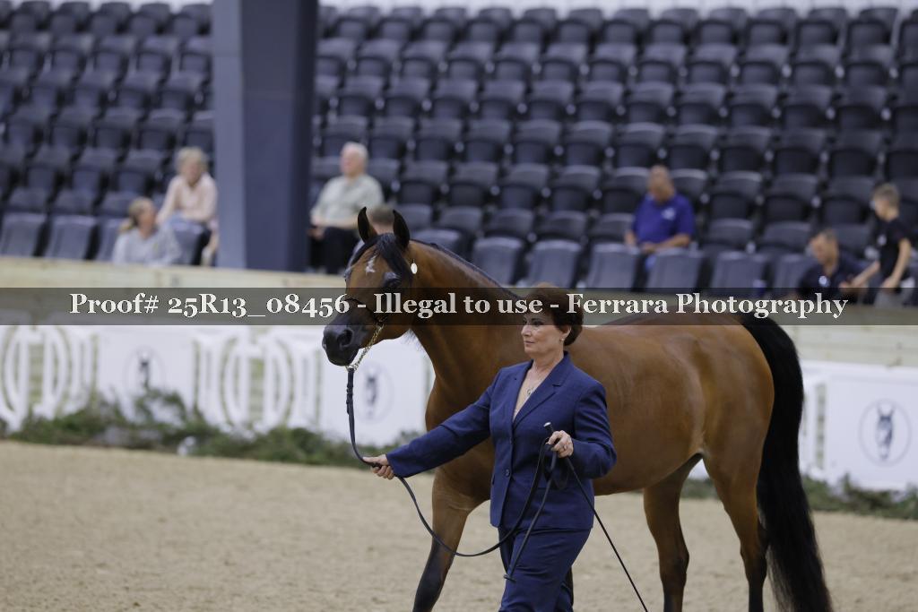 Proof 25R13_08456