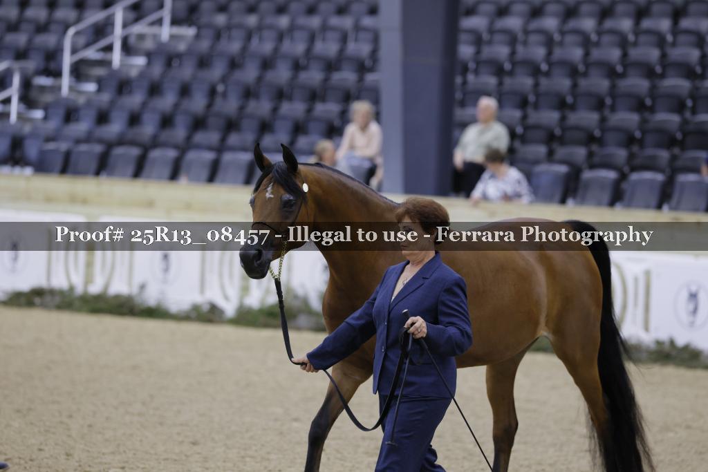 Proof 25R13_08457