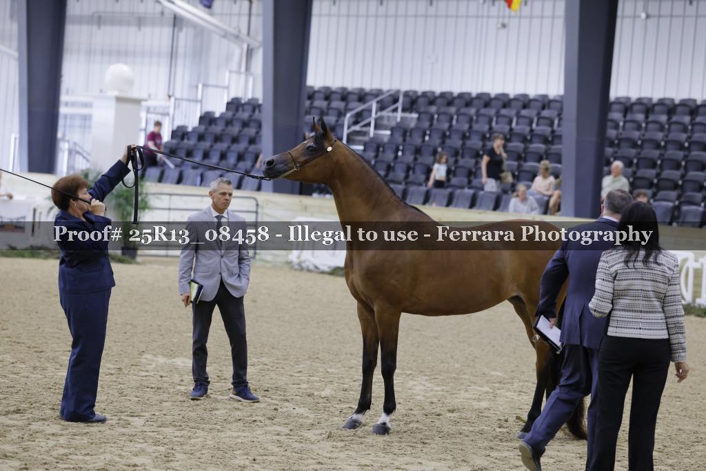Proof 25R13_08458
