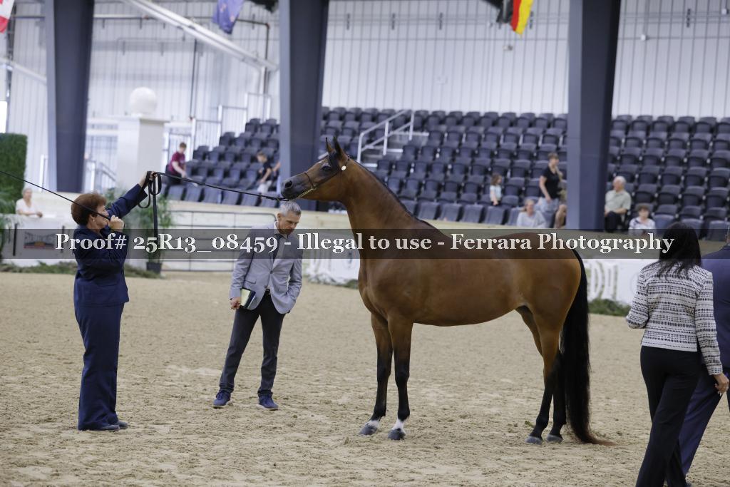 Proof 25R13_08459