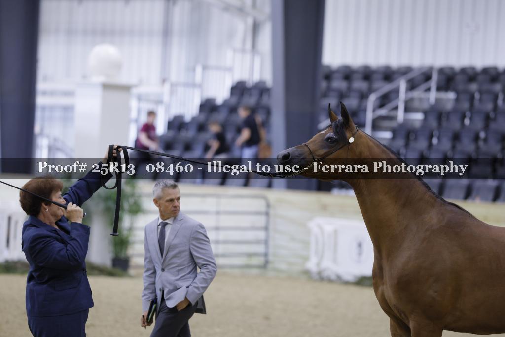 Proof 25R13_08460