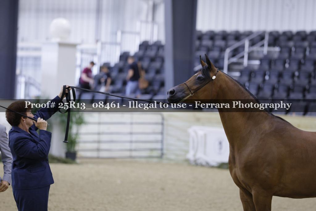 Proof 25R13_08461