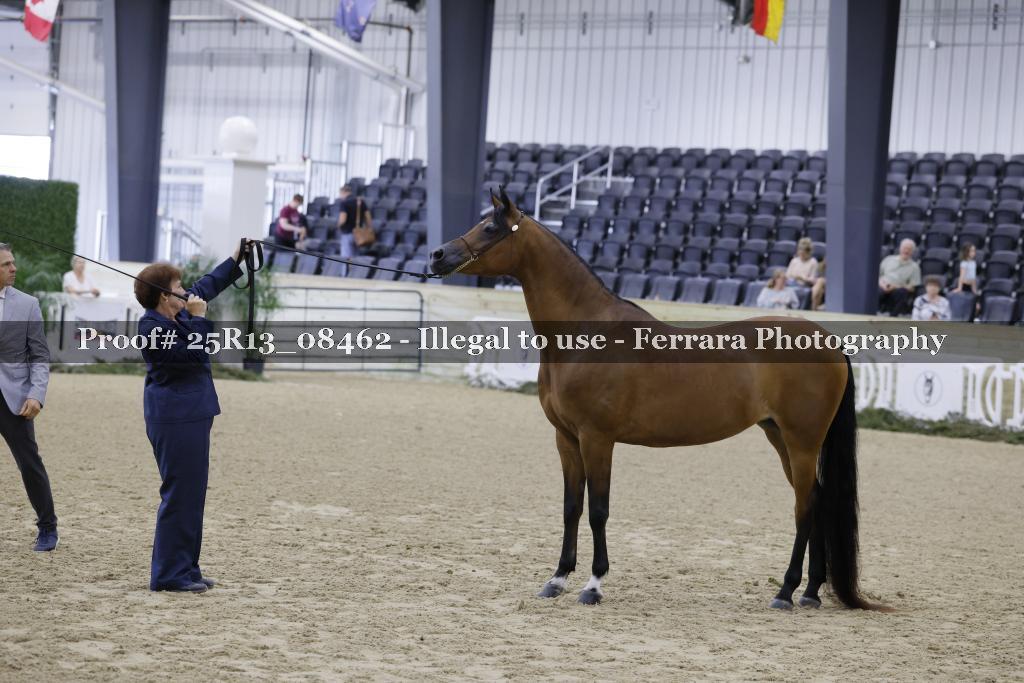 Proof 25R13_08462