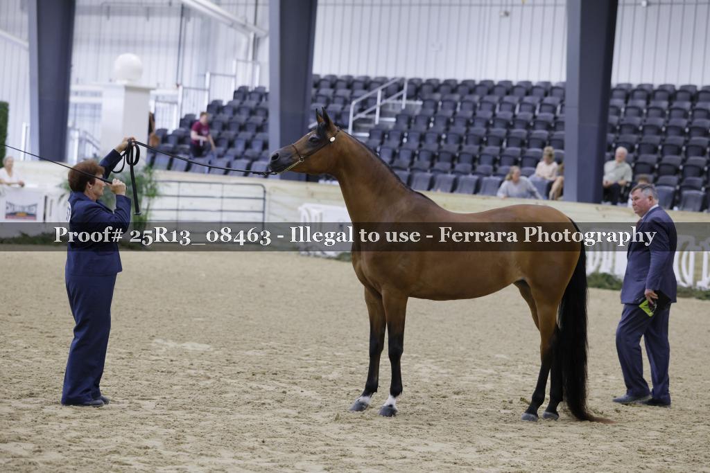 Proof 25R13_08463