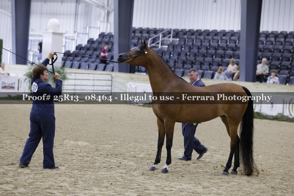 Proof 25R13_08464