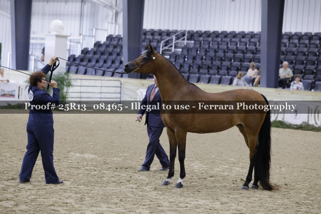 Proof 25R13_08465