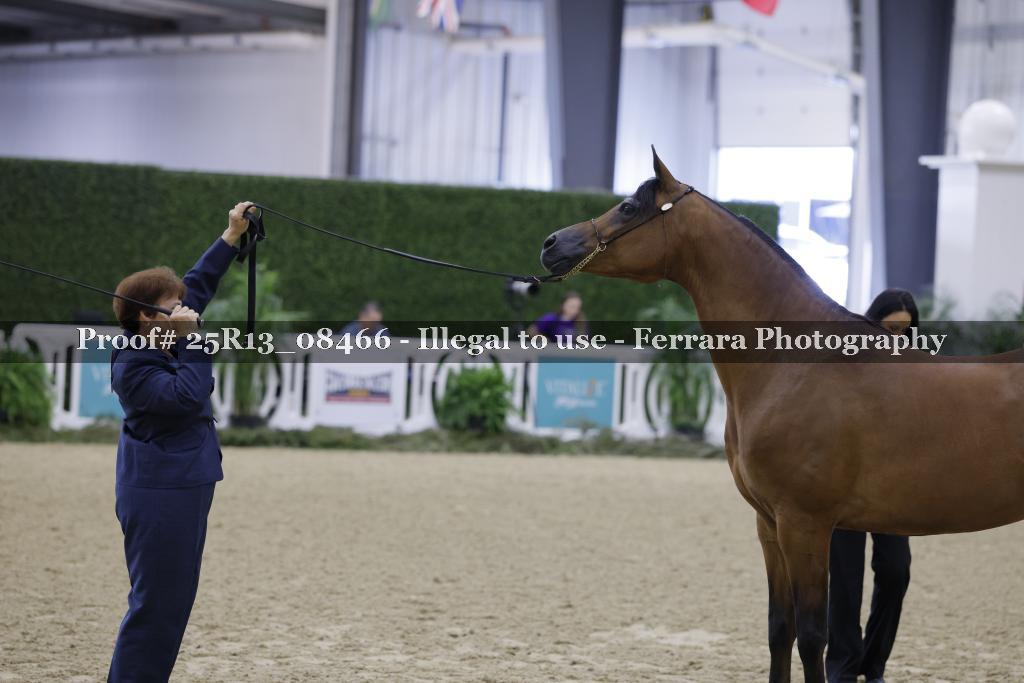 Proof 25R13_08466