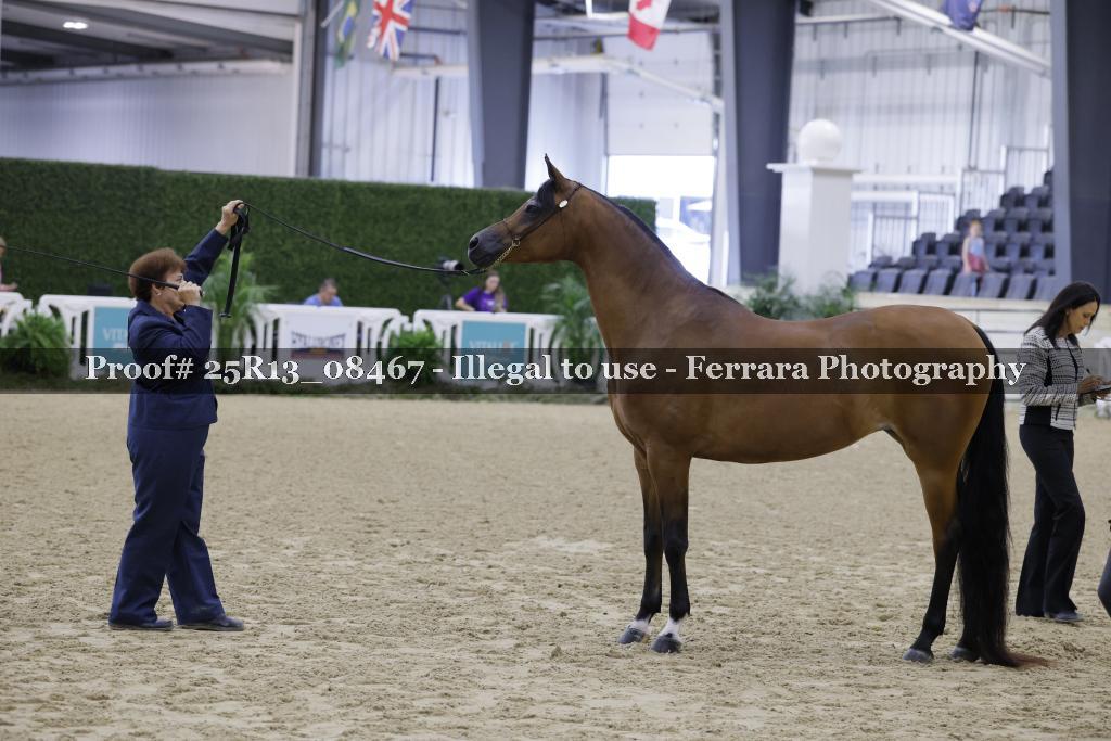 Proof 25R13_08467