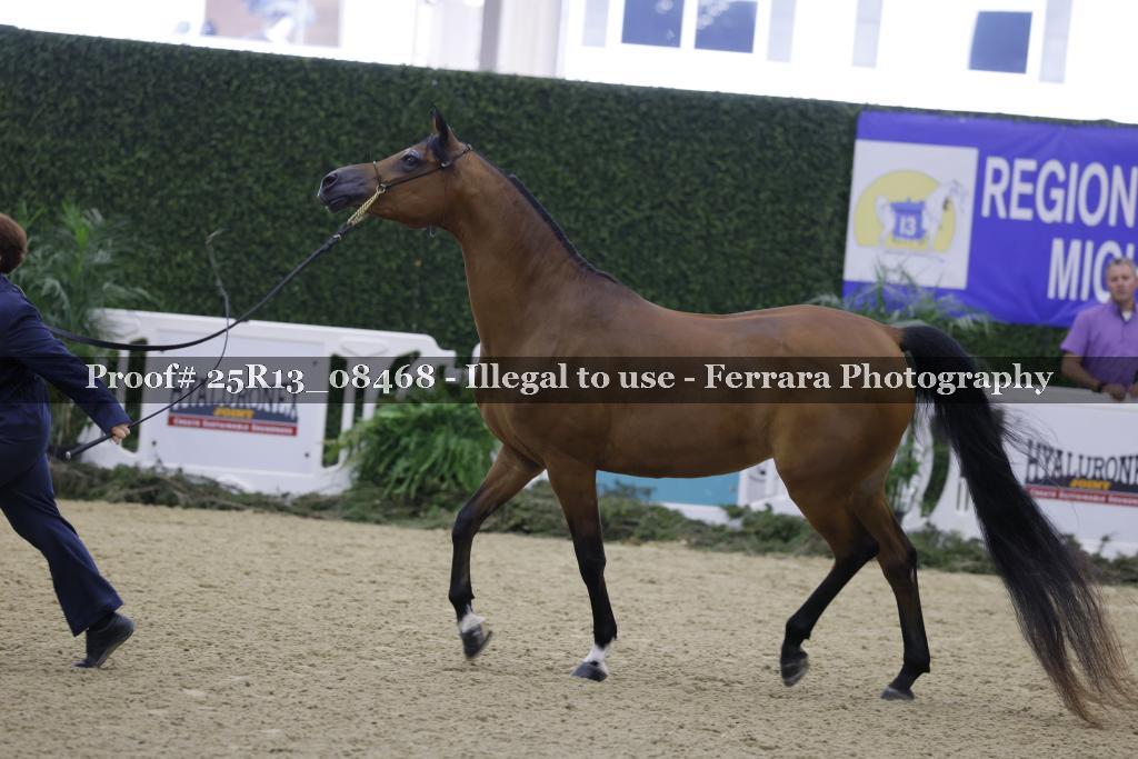 Proof 25R13_08468