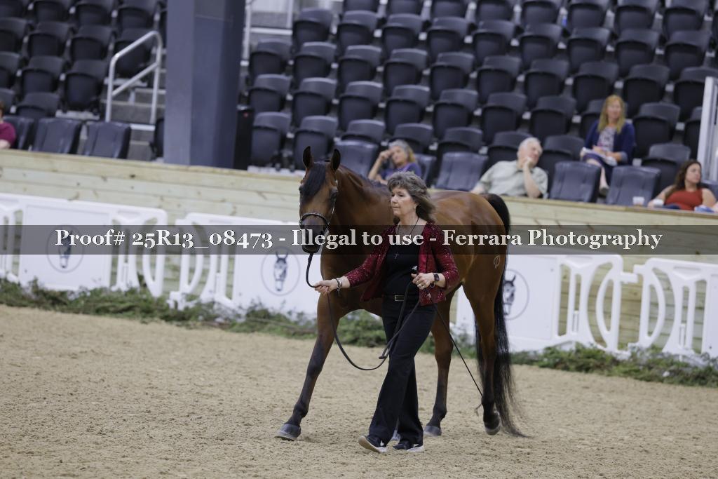 Proof 25R13_08473
