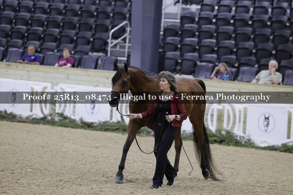 Proof 25R13_08474