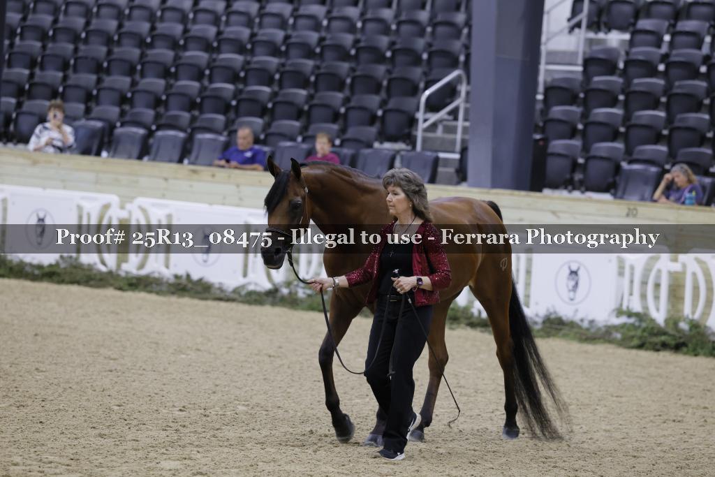 Proof 25R13_08475