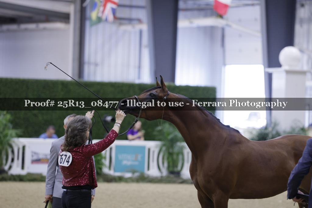 Proof 25R13_08477
