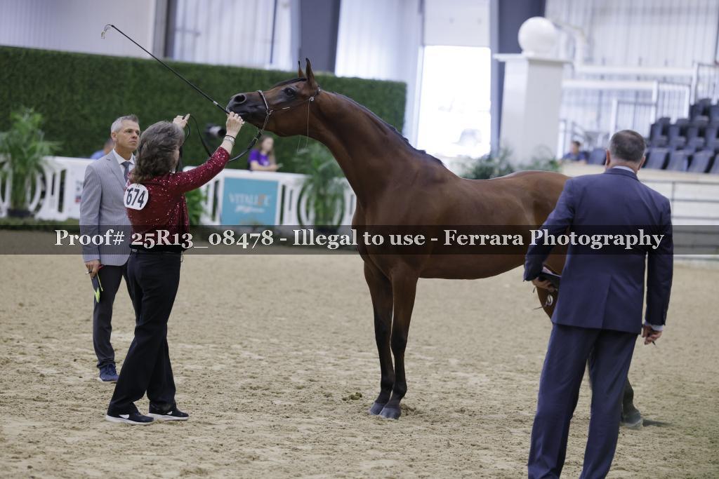 Proof 25R13_08478