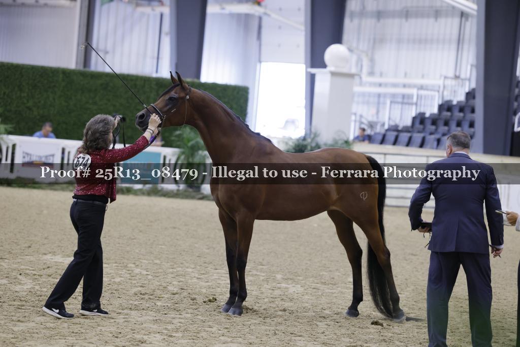 Proof 25R13_08479