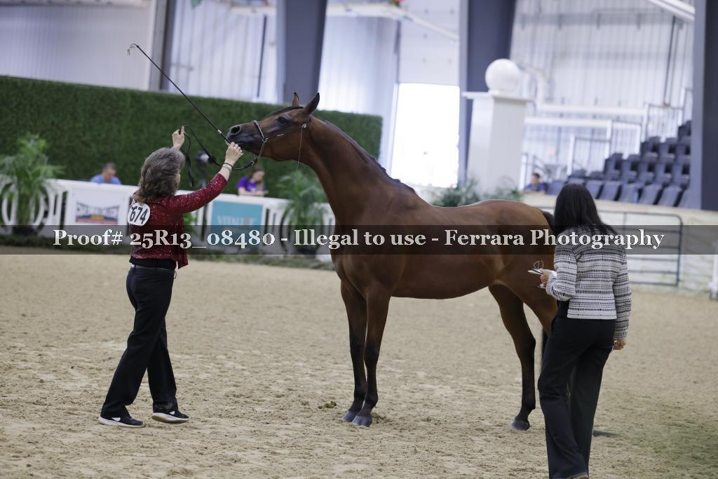Proof 25R13_08480