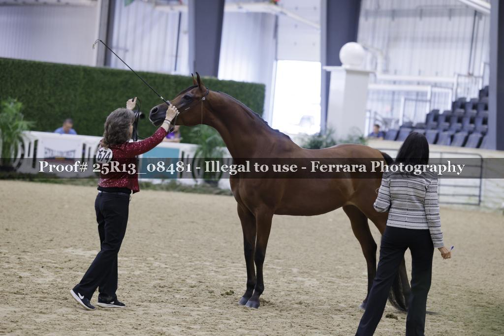Proof 25R13_08481