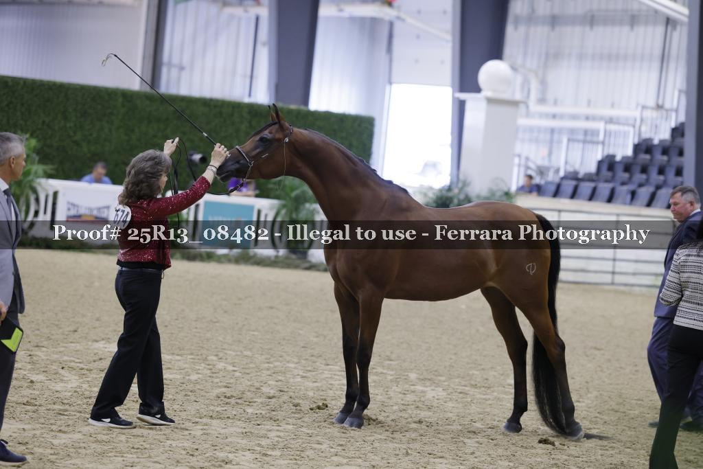 Proof 25R13_08482