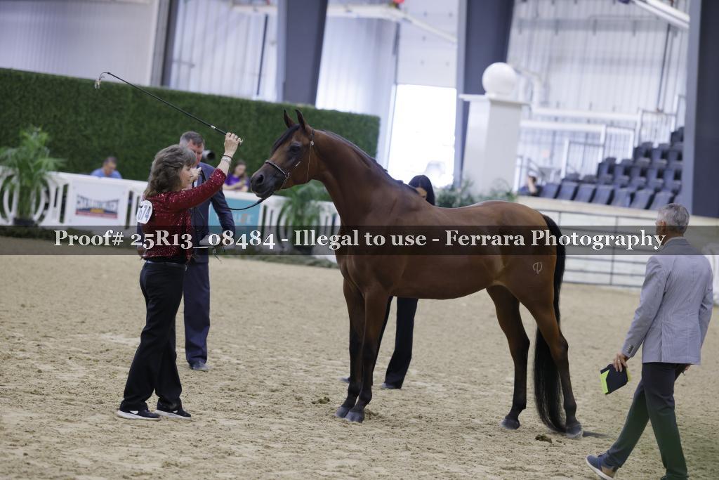 Proof 25R13_08484