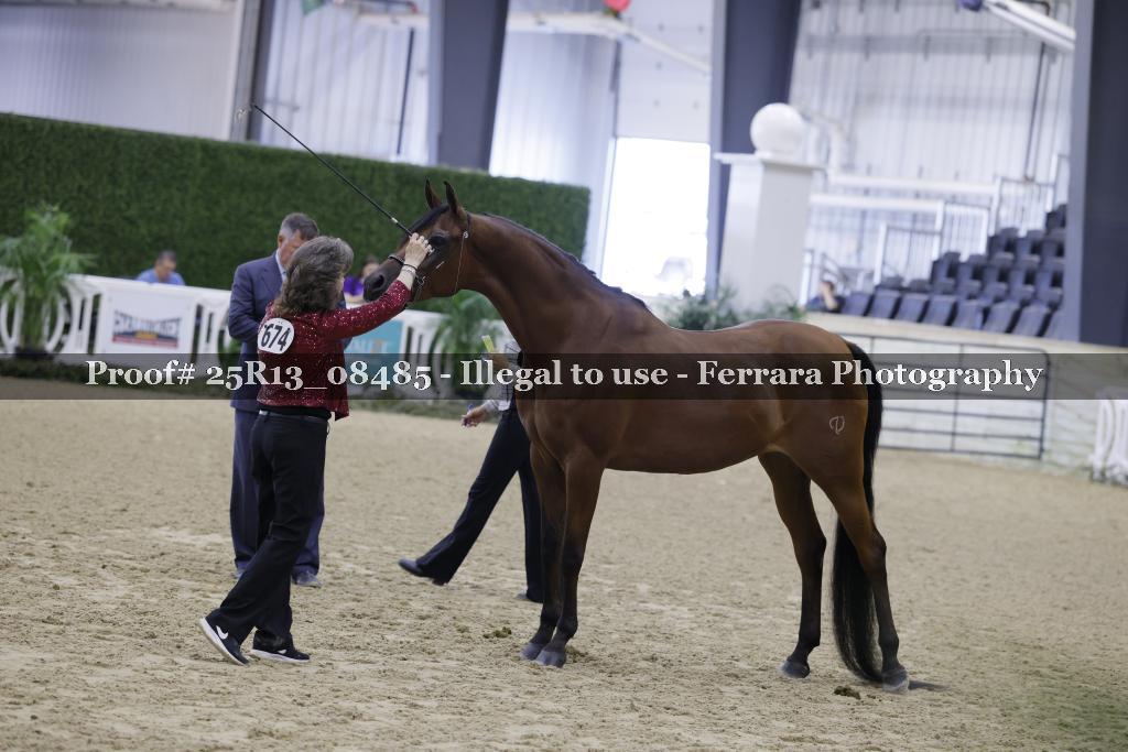 Proof 25R13_08485
