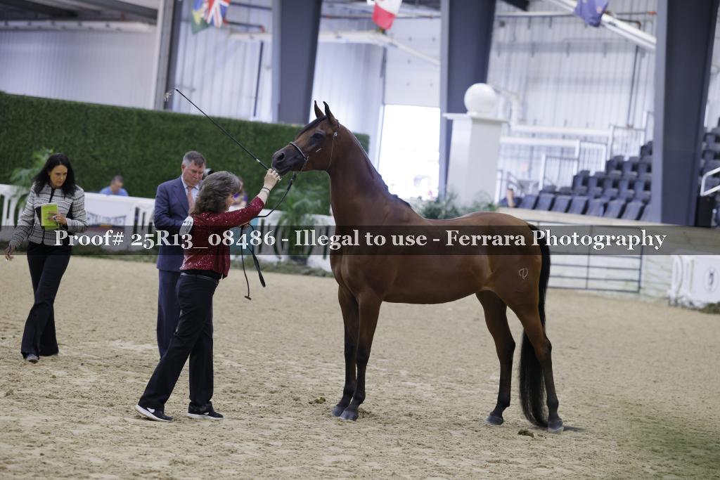 Proof 25R13_08486