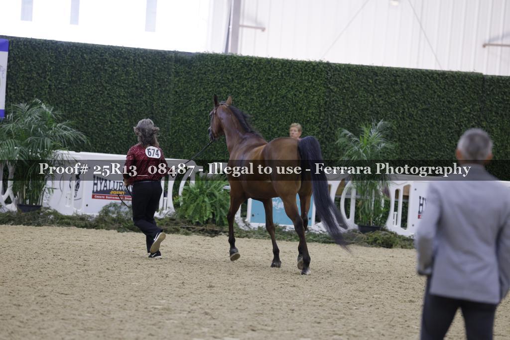Proof 25R13_08487