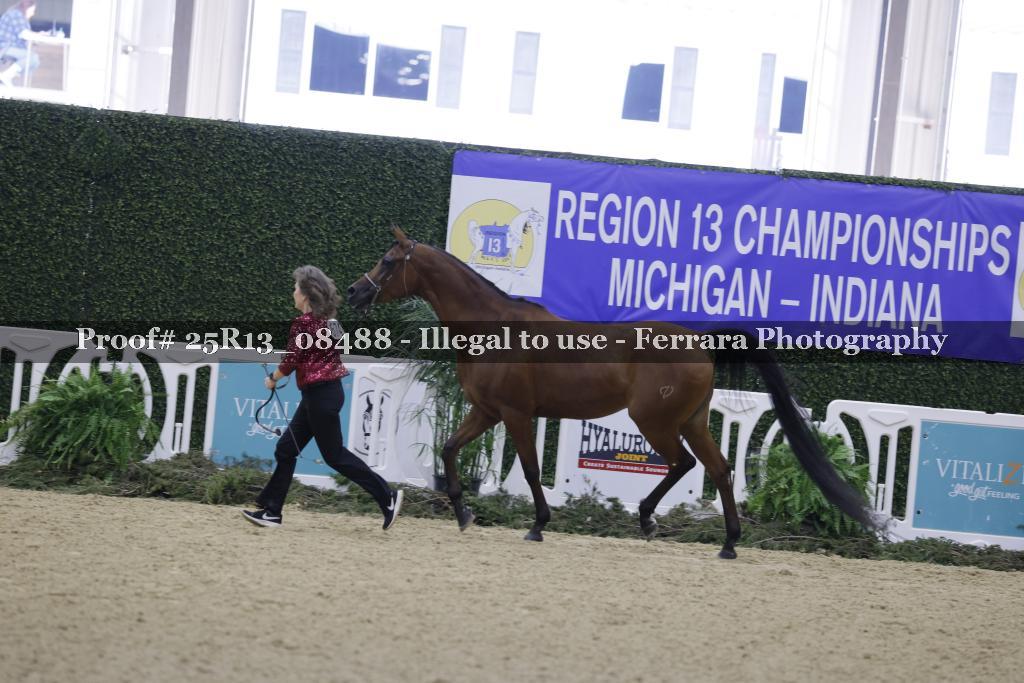 Proof 25R13_08488