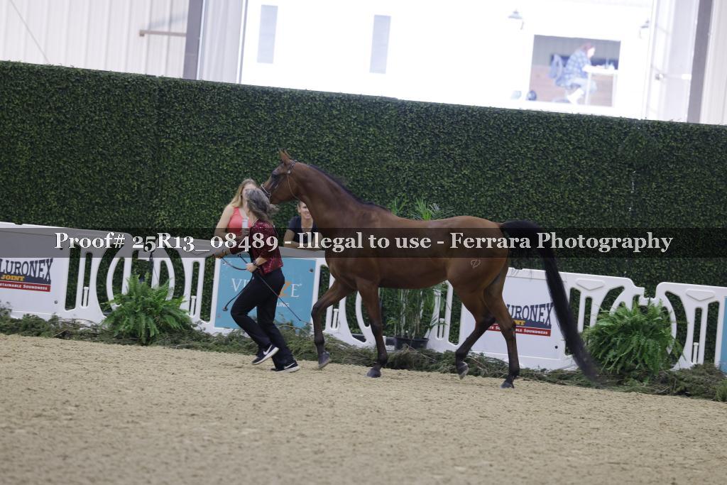 Proof 25R13_08489