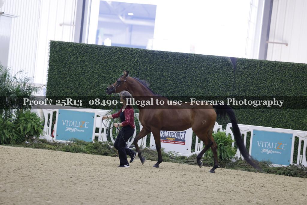 Proof 25R13_08490