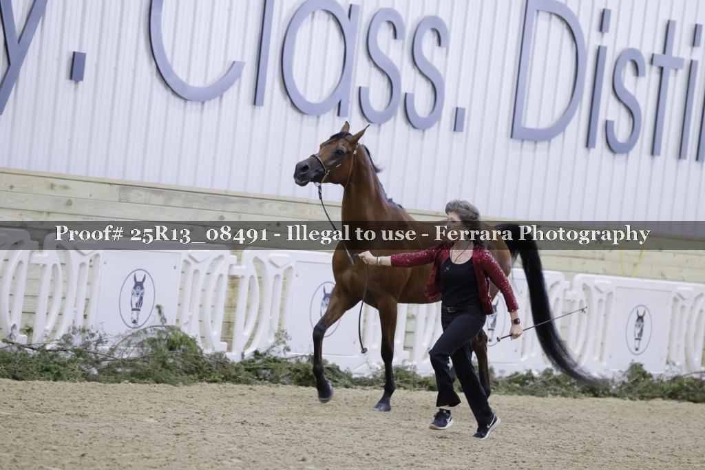 Proof 25R13_08491