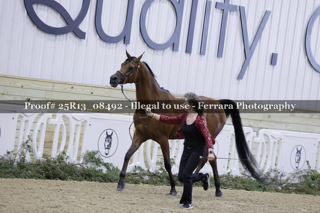 Proof 25R13_08492