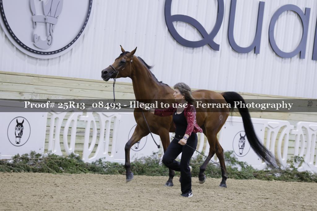 Proof 25R13_08493