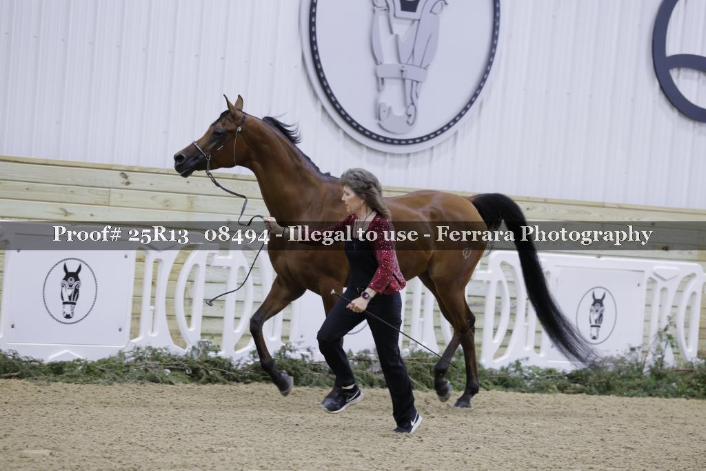 Proof 25R13_08494