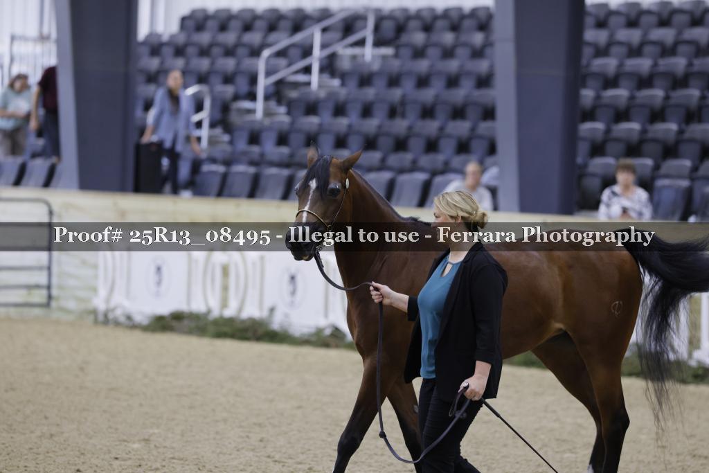 Proof 25R13_08495