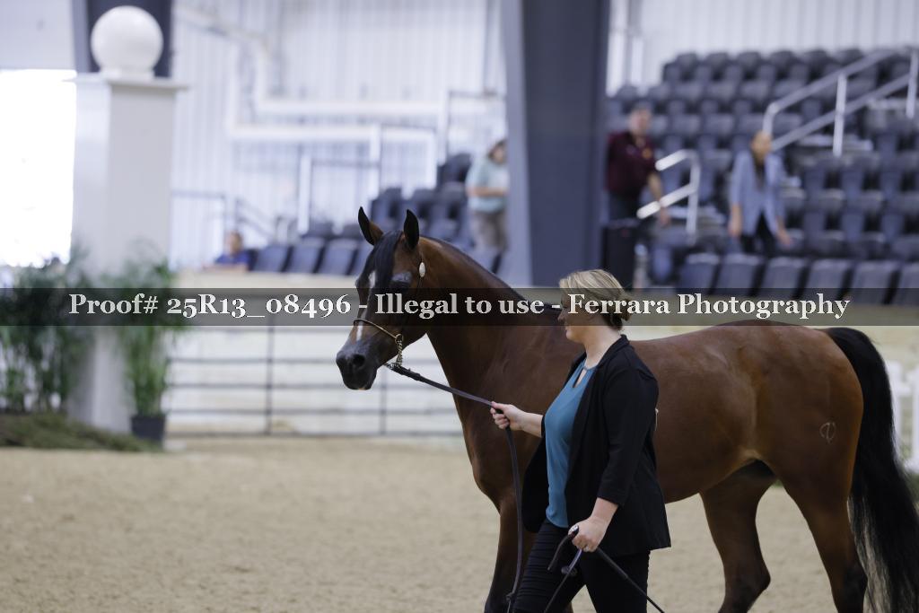 Proof 25R13_08496