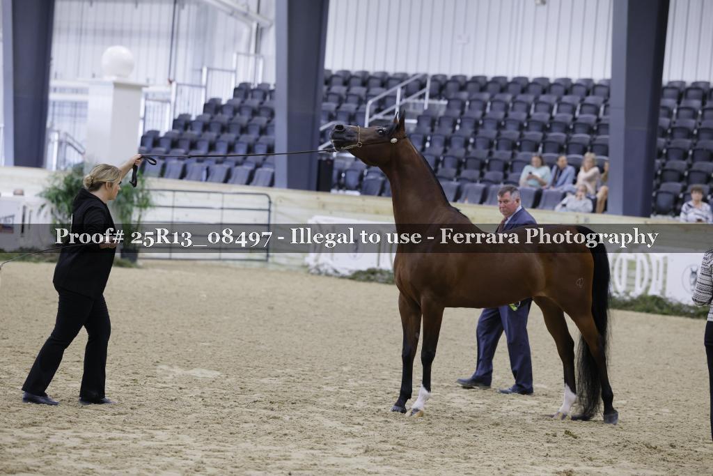 Proof 25R13_08497
