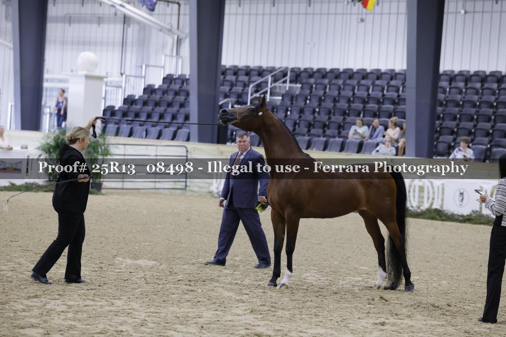 Proof 25R13_08498