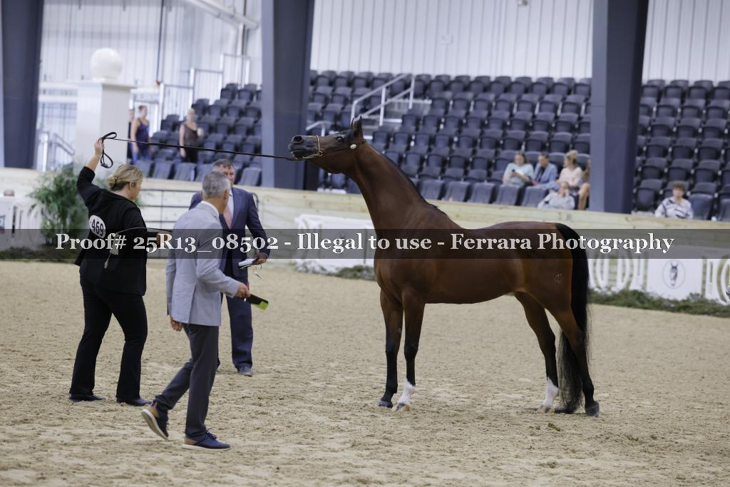 Proof 25R13_08502