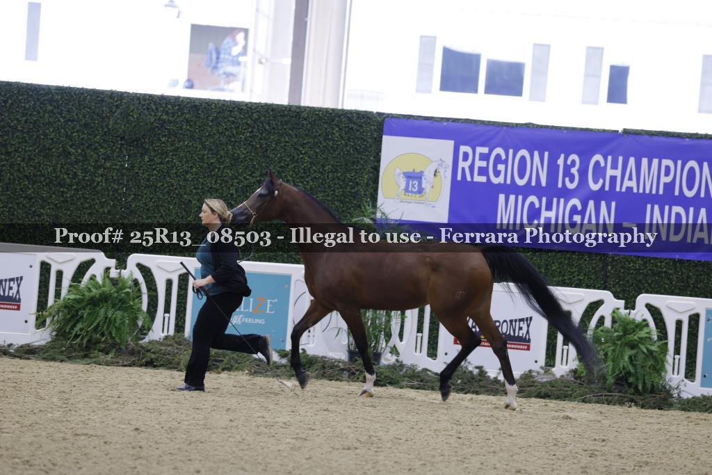 Proof 25R13_08503