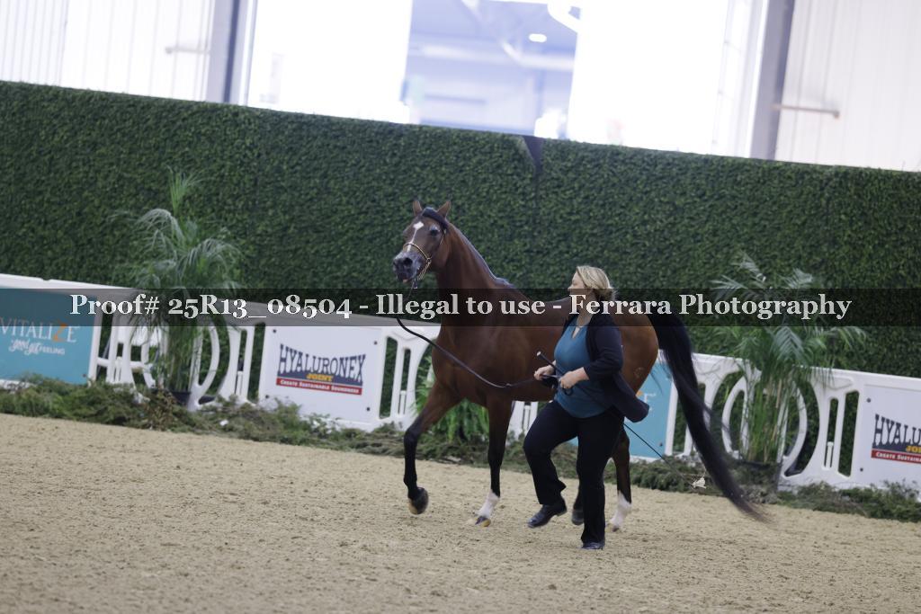 Proof 25R13_08504