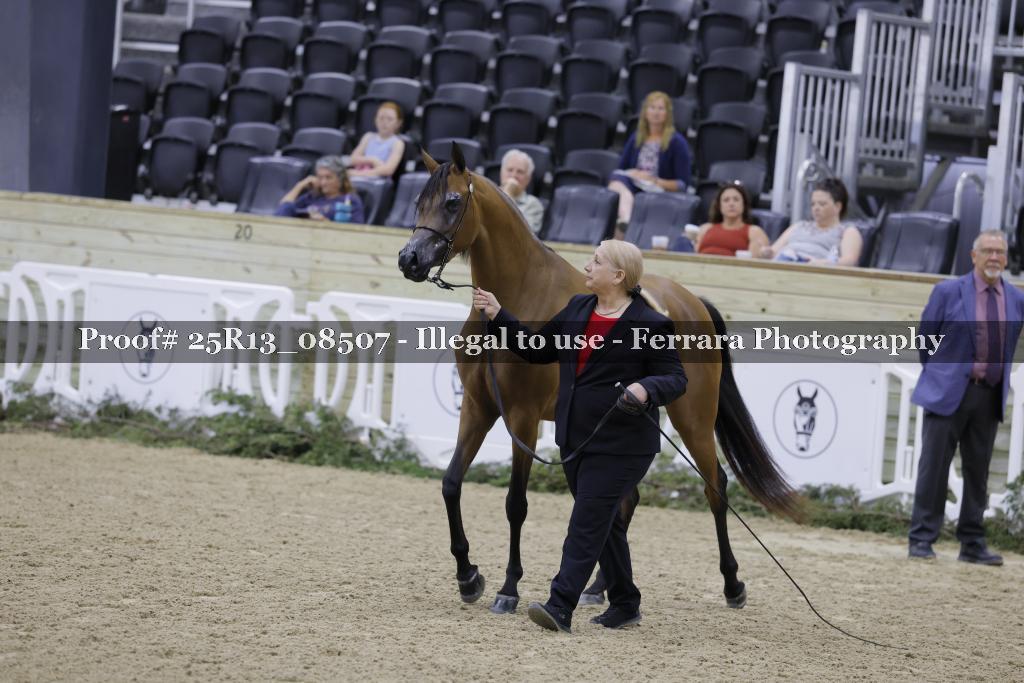 Proof 25R13_08507