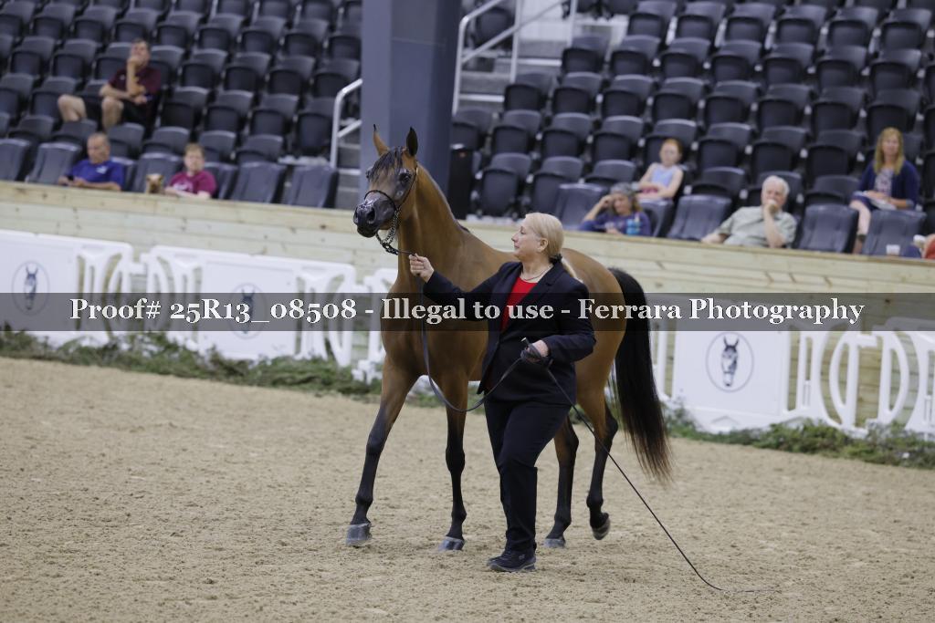 Proof 25R13_08508